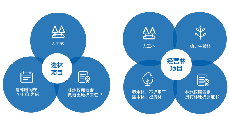 林业碳汇开发