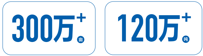 林业碳汇开发